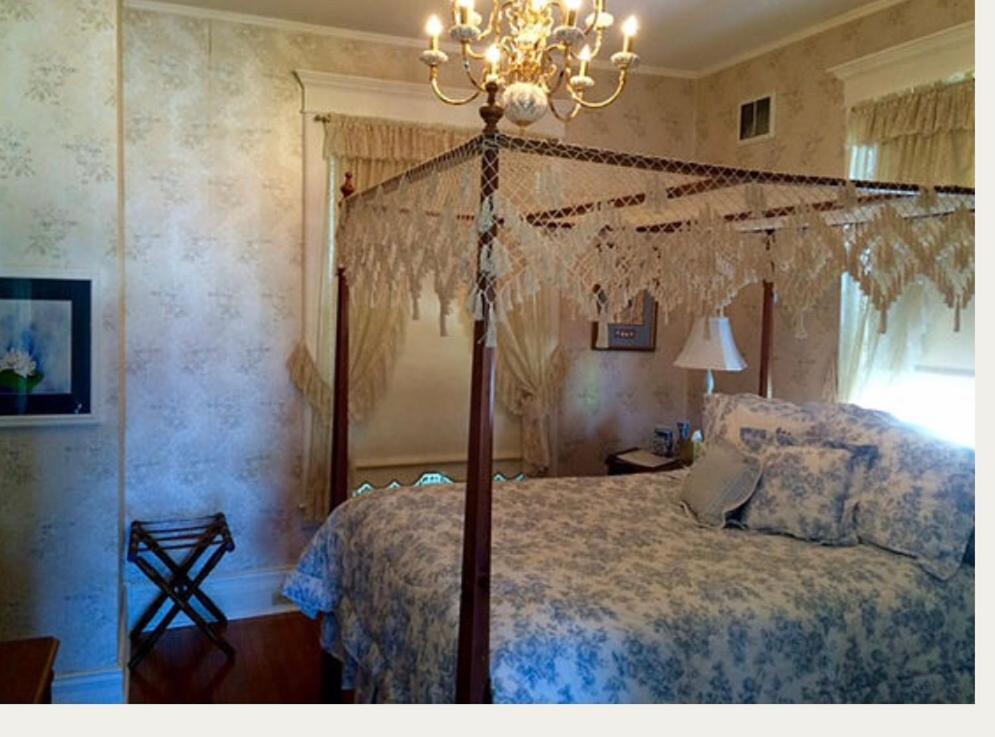 The Social House Inn Carmi Bagian luar foto
